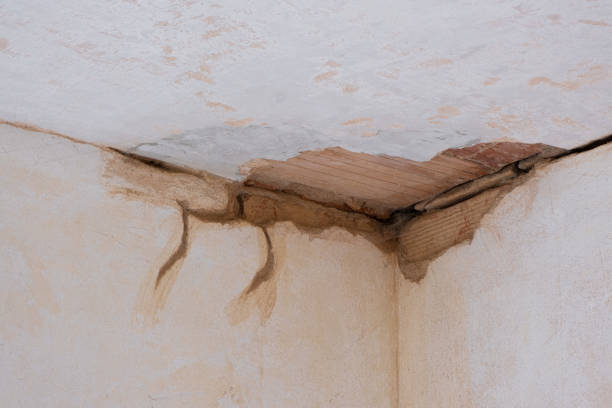 Best Flood restoration services  in Lemoore Station, CA